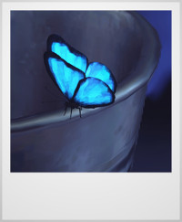 Blue butterfly